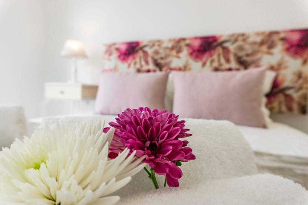 Lalitana Center Apartment ラゴス エクステリア 写真